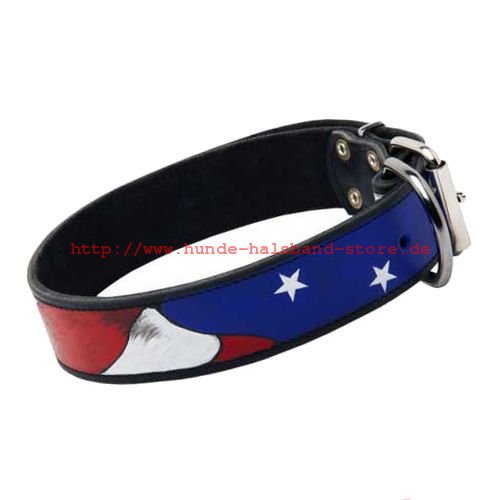 Lederhalsband USA