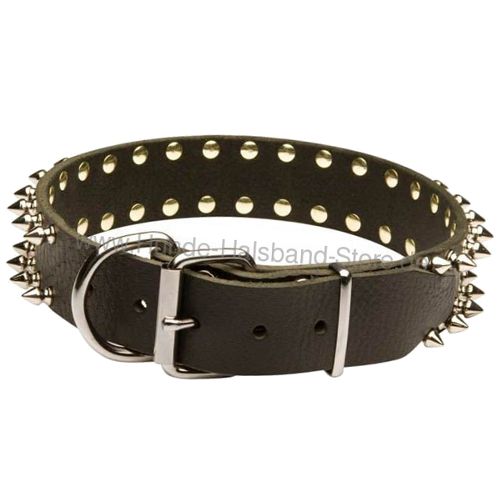 Hundehalsband 2 Reihen Spikes