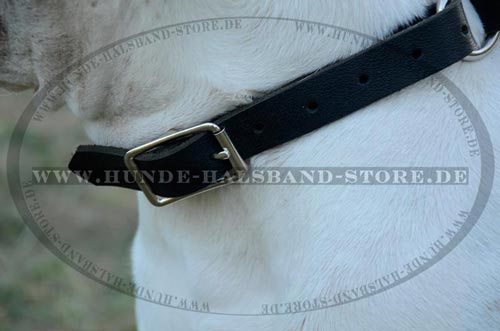 Hundehalsband mit vernickelten Metallteilen 