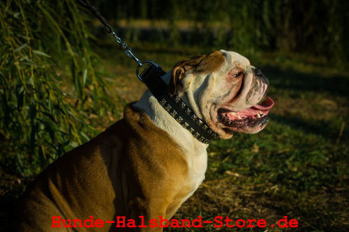 Designer
Halsband