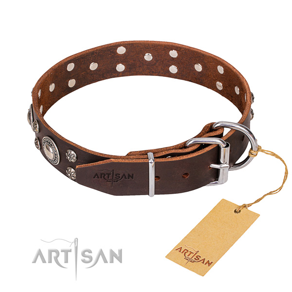 unglaubliches Halsband von Fordogtrainers 