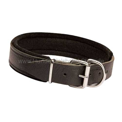 Lederhalsband für Dobermann