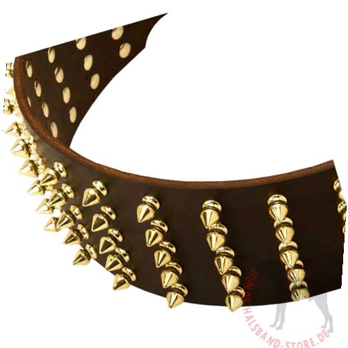 Lederhalsband Spikes