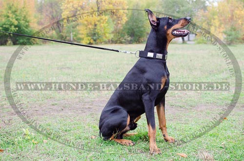 Hundehalsband für Dobermann mit Schmuck