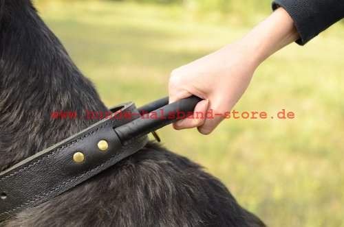 Hundehalsband mit Handschlaufe