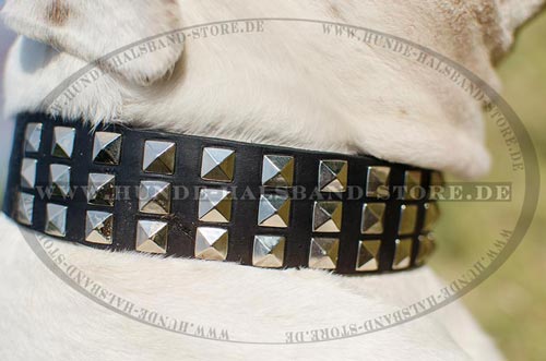 Lederhalsband originell