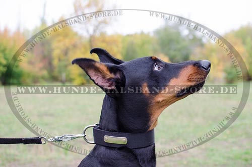 Hundehalsband für Dobermann