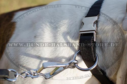 Hundehalsband mit Schnellverschluss