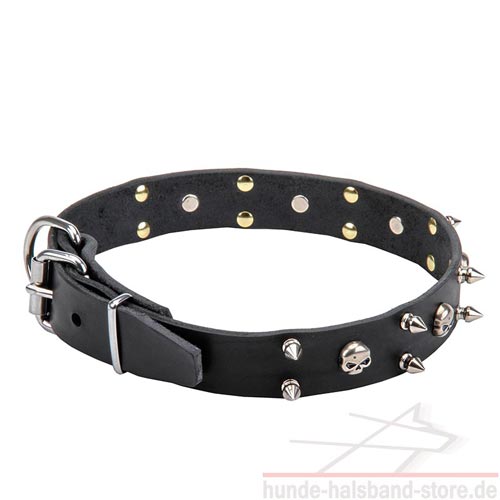 stilvolles Halsband Hund