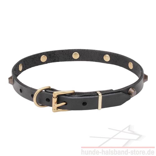 nettes 20 mm Lederhalsband