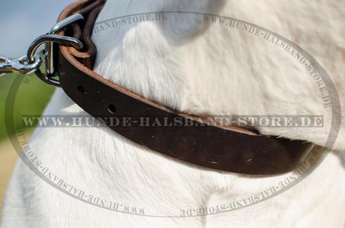 Halsband aus strapazierfaehigem Leder