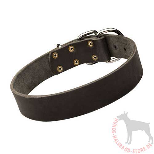 Hundehalsband 30 mm