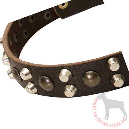 perfektes Hundehalsband mit Schmuck