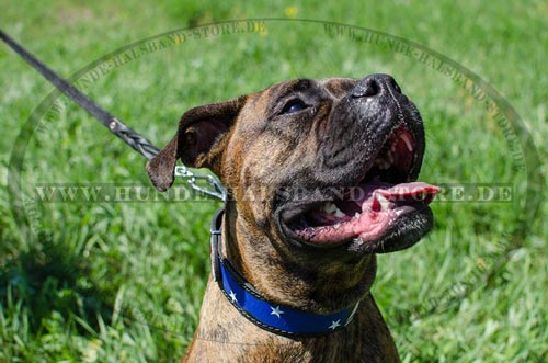 Halsband für Boxer breit