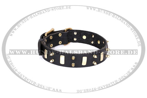  originelles Halsband 40 mm