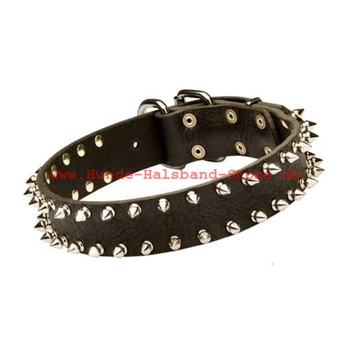 Hundehalsband Spikes