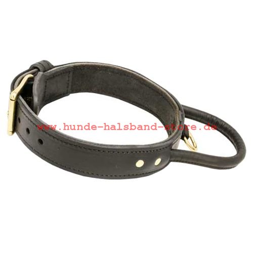 Hundehalsband 45 mm