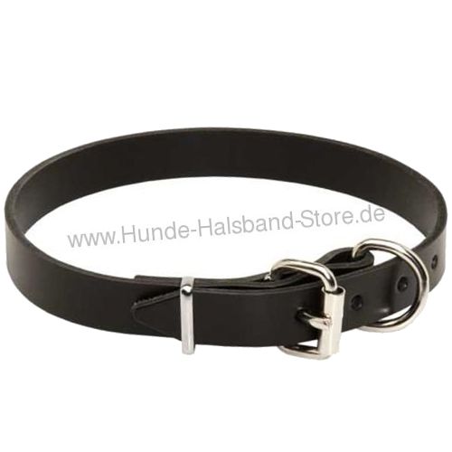 Hundehalsband aus Leder stilvoll