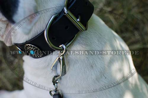 Hundehalsband Leder stilvolles Design