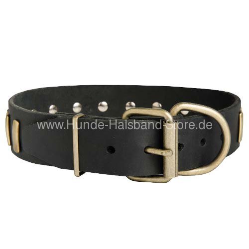 Halsband Leder 40 mm