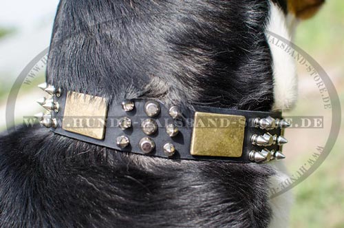Hundehalsband für Sennenhund stilvoll