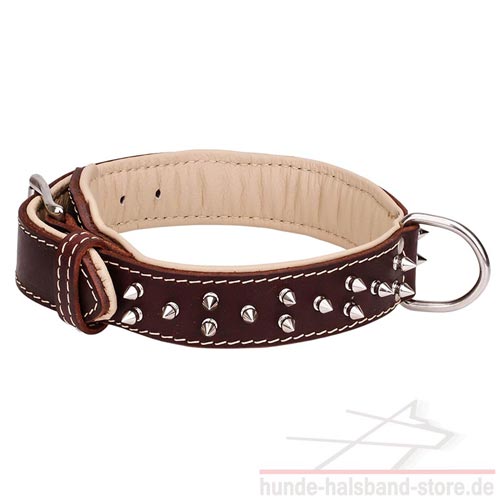 stilvolles Halsband Hund