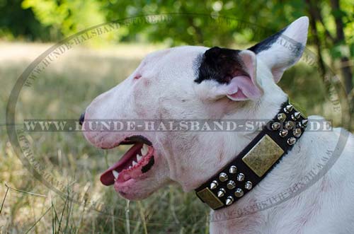 Hundehalsband aus Leder breit bmit Schmuck