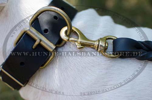 Hundehalsband Leder stilvoll