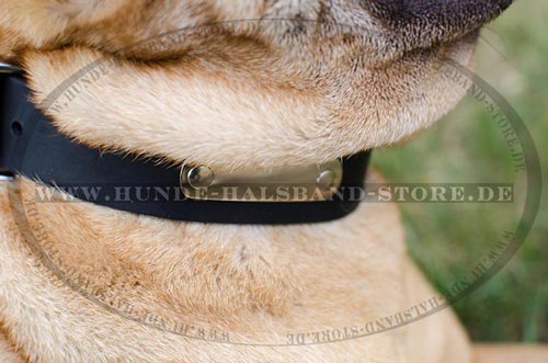 Hundehalsband
mit ID Schild
