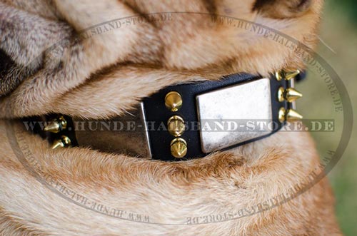  Designer Hundehalsband
mit Spikes und Schildern