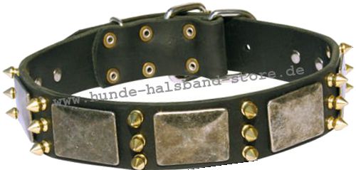 Hundehalsband mit Spikes