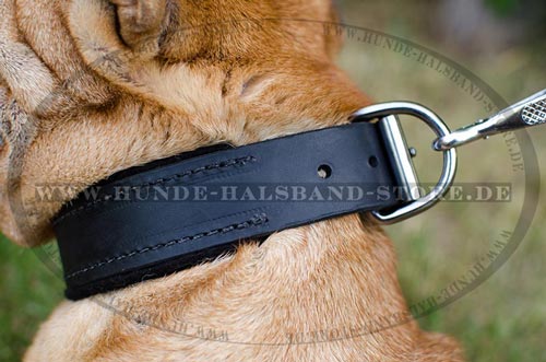 klassisches Halsband in schwarz