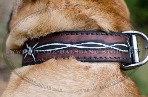 Stacheldraht Hundehalsband aus Leder