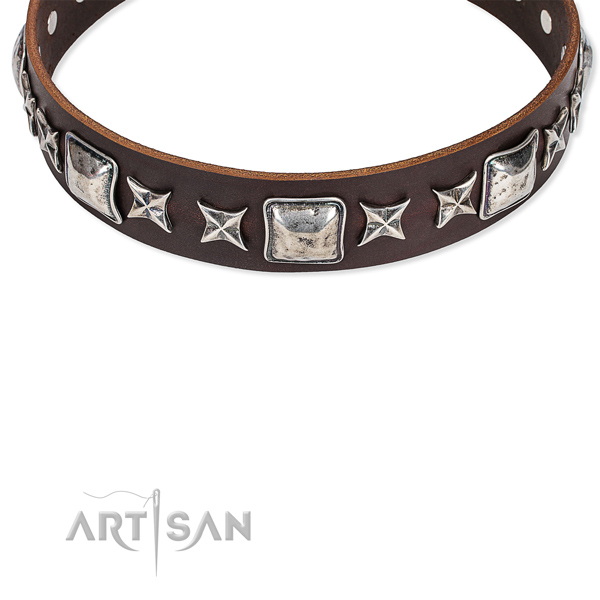 stilvolles Halsband aus Leder mit silbernen Sternen und
Nieten