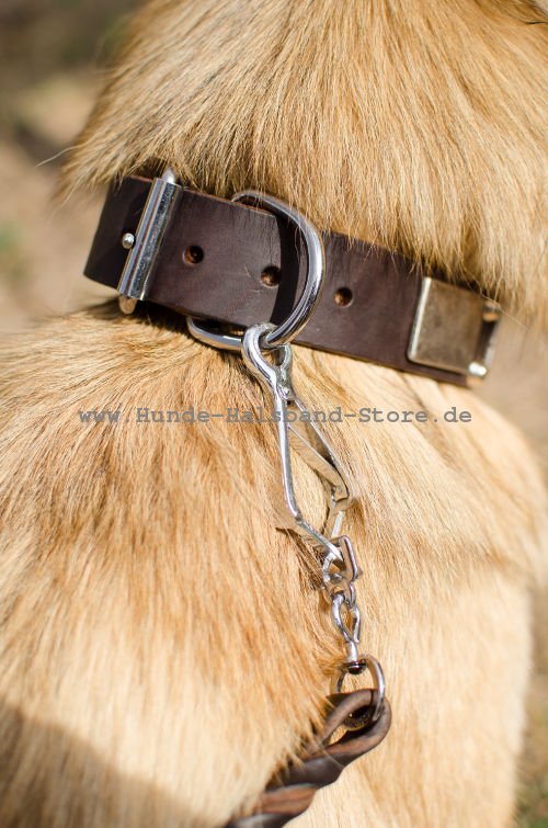 hochwertiges
Tervueren Halsband