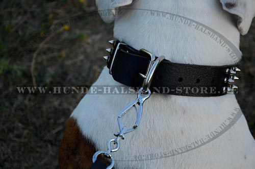 Hundehalsband mit runden Gelbkupfer Nieten und Spikes=