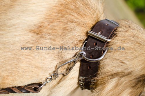 hochwertiges Nieten Halsband 40 mm