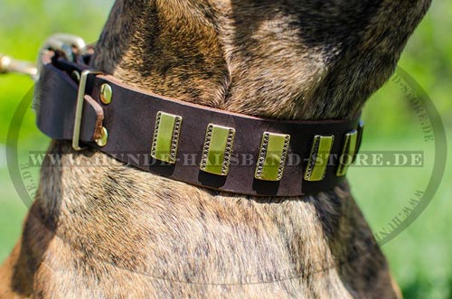 Hundehalsband aus Leder Platten 