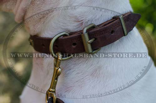 Hundehalsband Leder exklusives Design