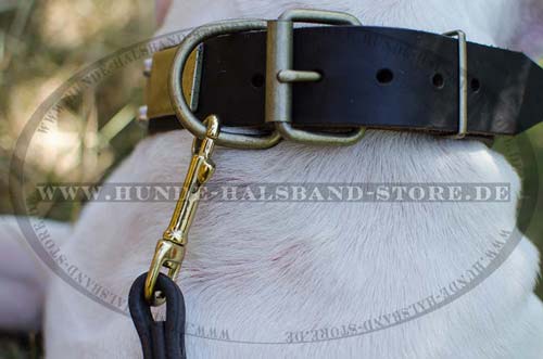 Hundehalsband Leder Schildern und Pyramiden