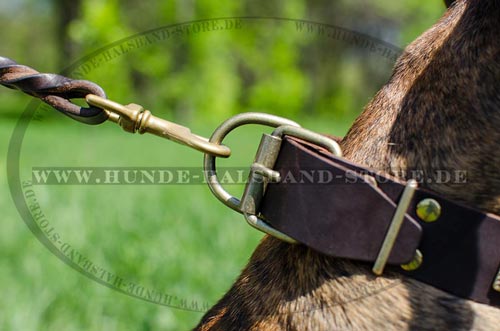 Hundehalsband für Boxer breit