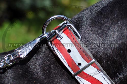 Exklusives Halsband Leder für Hund 