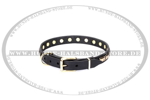 Stilvolles Designer Halsband  