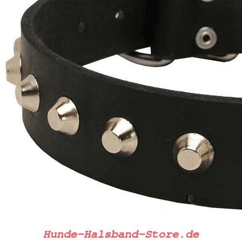 ledernes Halsband stilvoll 