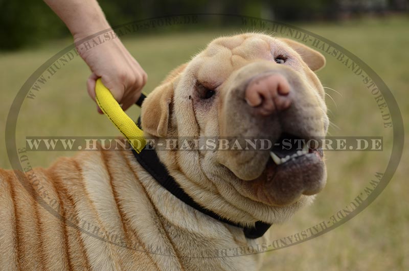 Nylon
Hundehalsband
mit
Handschlaufe