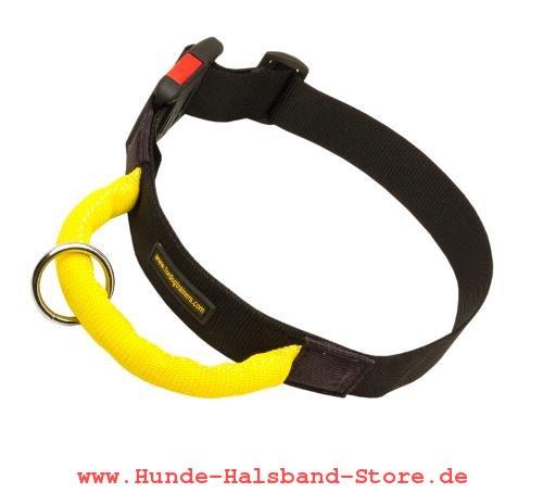 Hundehalsband mit Nylon praktisch