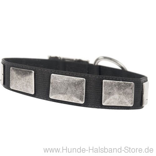 Hundehalsband aus Nylon fuer Bulterrier