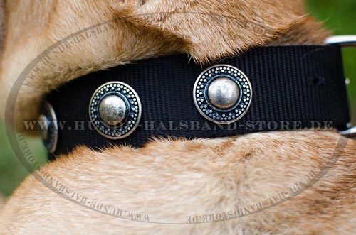 Hundehalsband mit
Konchen