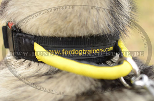 praktisches Hundehalsband aus festem Nylon