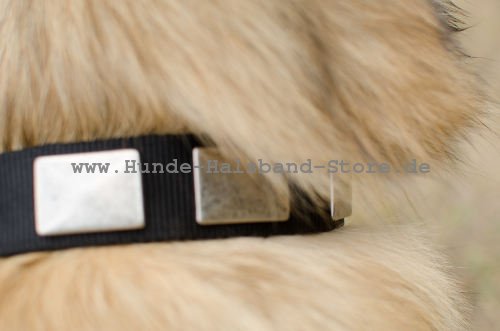 Tervueren Halsband aus Nylon